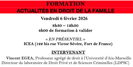 FORMATION ACTUALITÉS EN DROIT DE LA FAMILLE