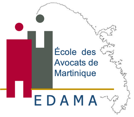 Présentation du Site Internet de l'EDAMA - Jeudi 16 décembre 2021 à 15h00